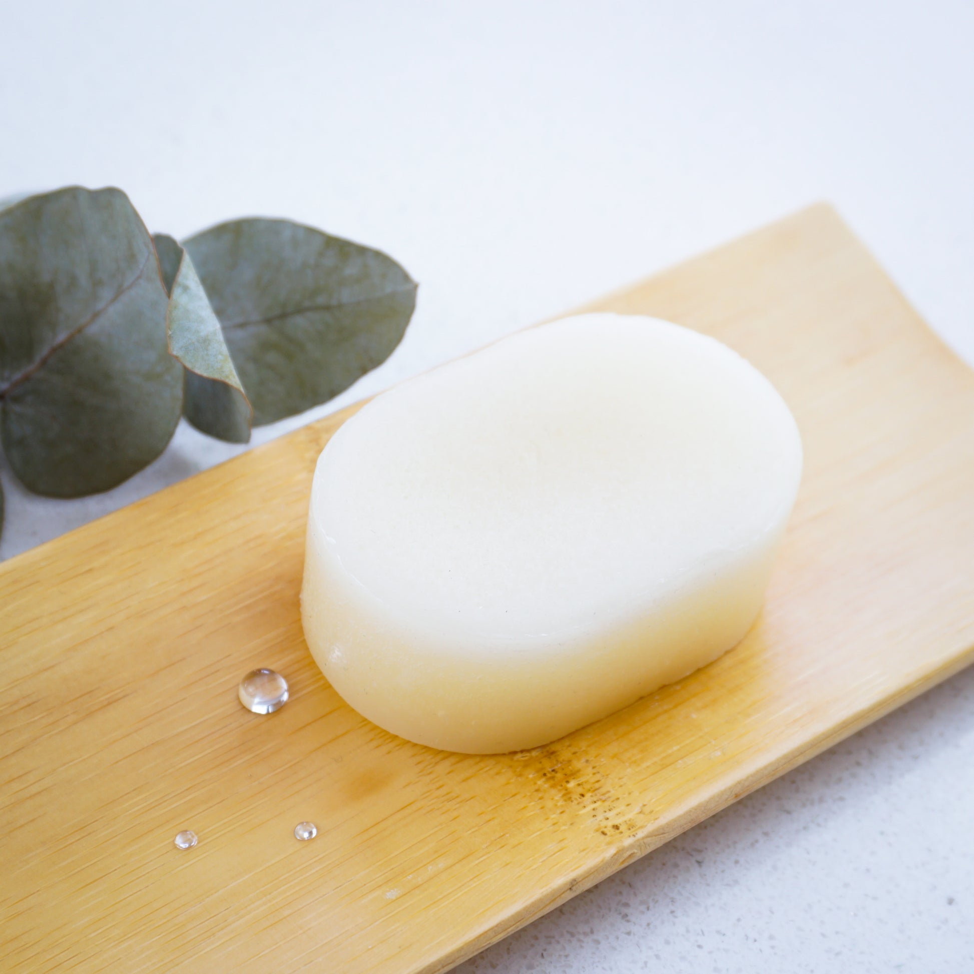 eucalyptus conditioner bar with eucalyptus plant behind