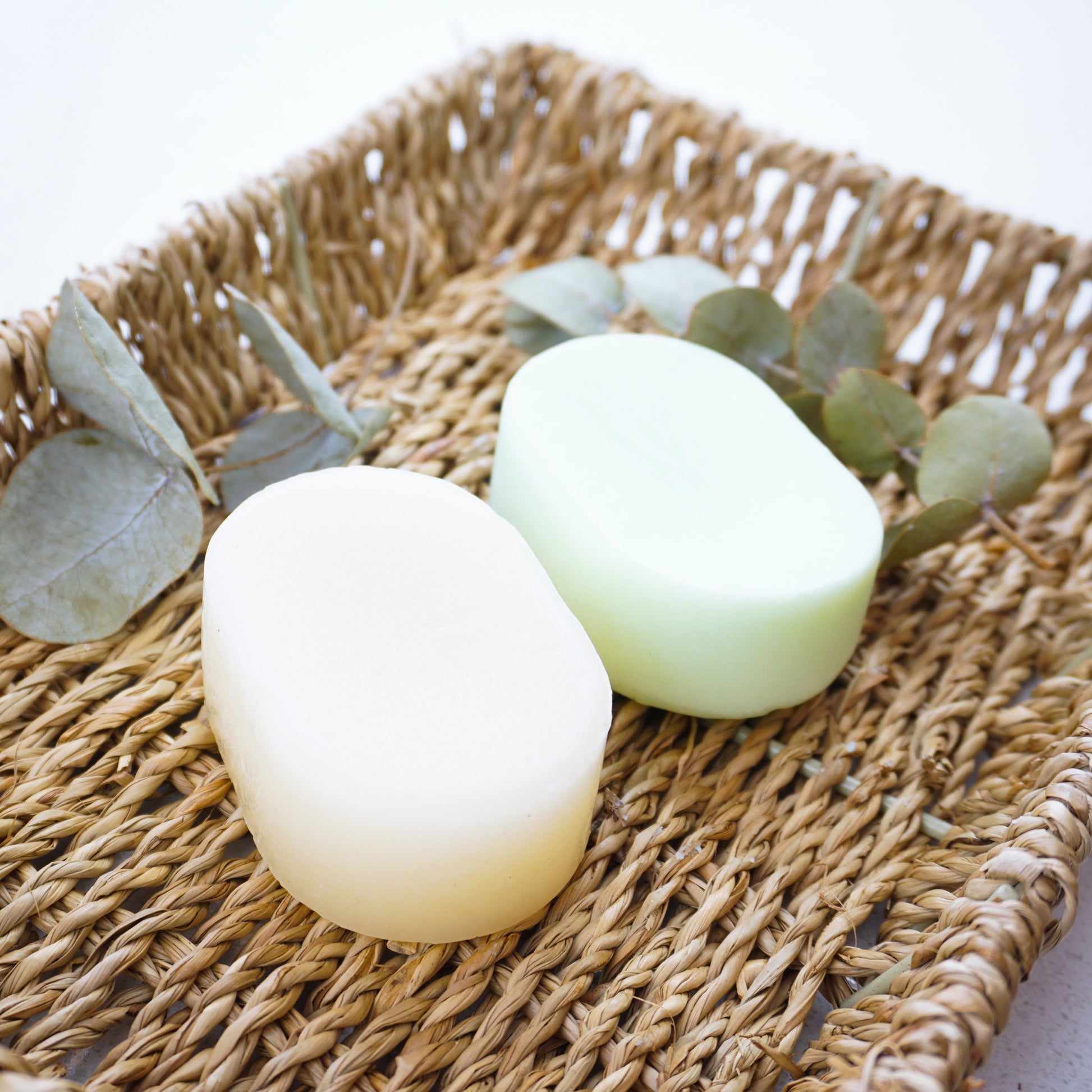 eucalyptus shampoo and conditioner bars on hamper basket surrounded by eucalyptus plants
