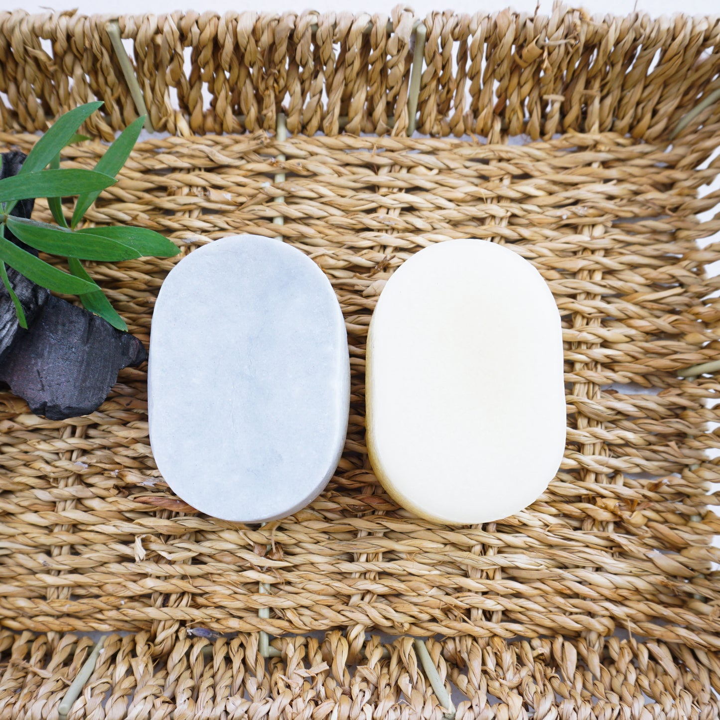 charcoal and tea tree shampoo and conditioner bars with charcoal and leaves