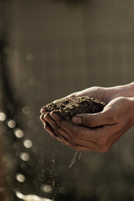 Soil being held in a person hands