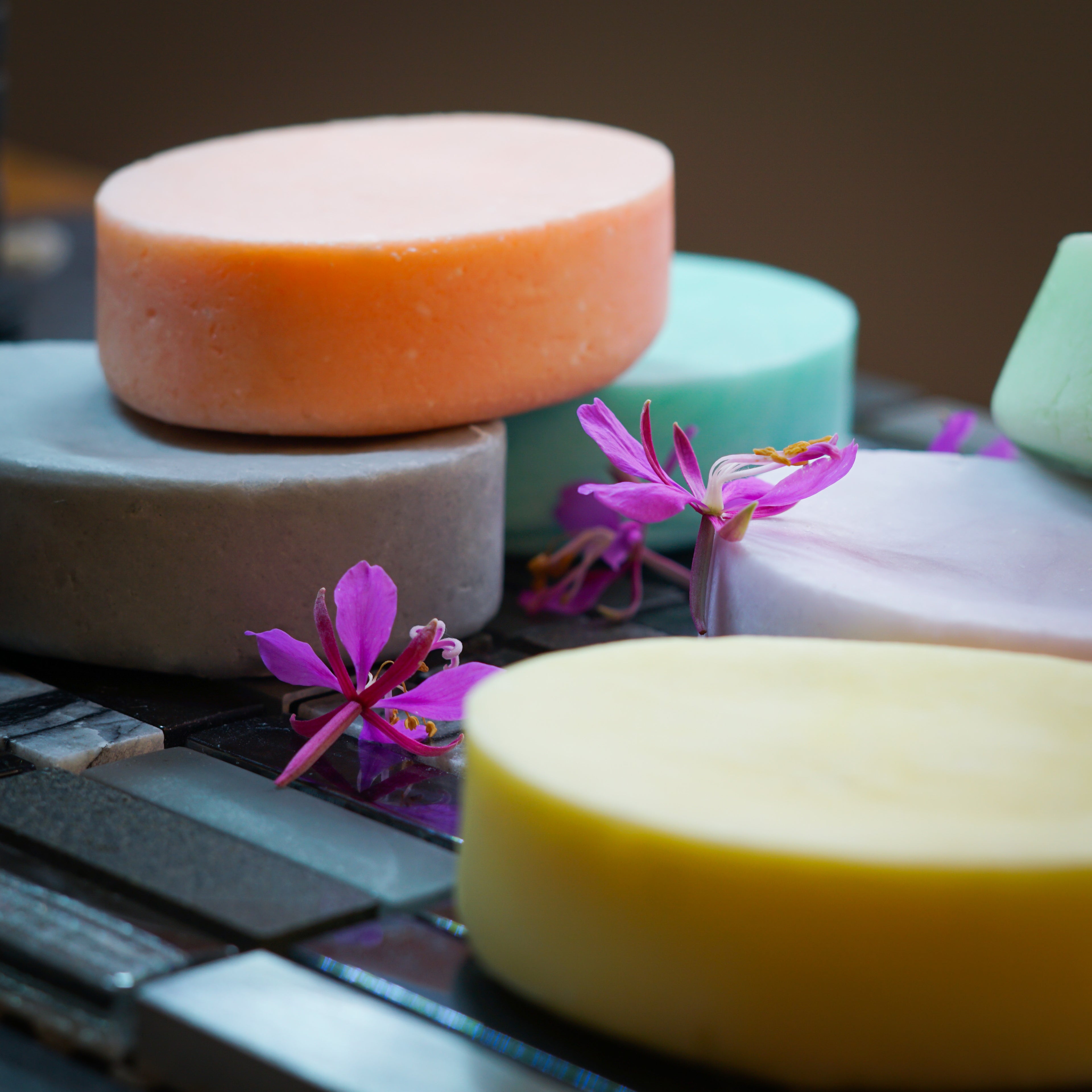 Hydration shampoo bars sitting on a shiny colourful surface. Pink flowers used as decorations on top of the lavender shampoo bar