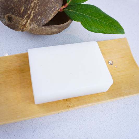 Coconut & Almond Soap Bar with coconut shell and leaves