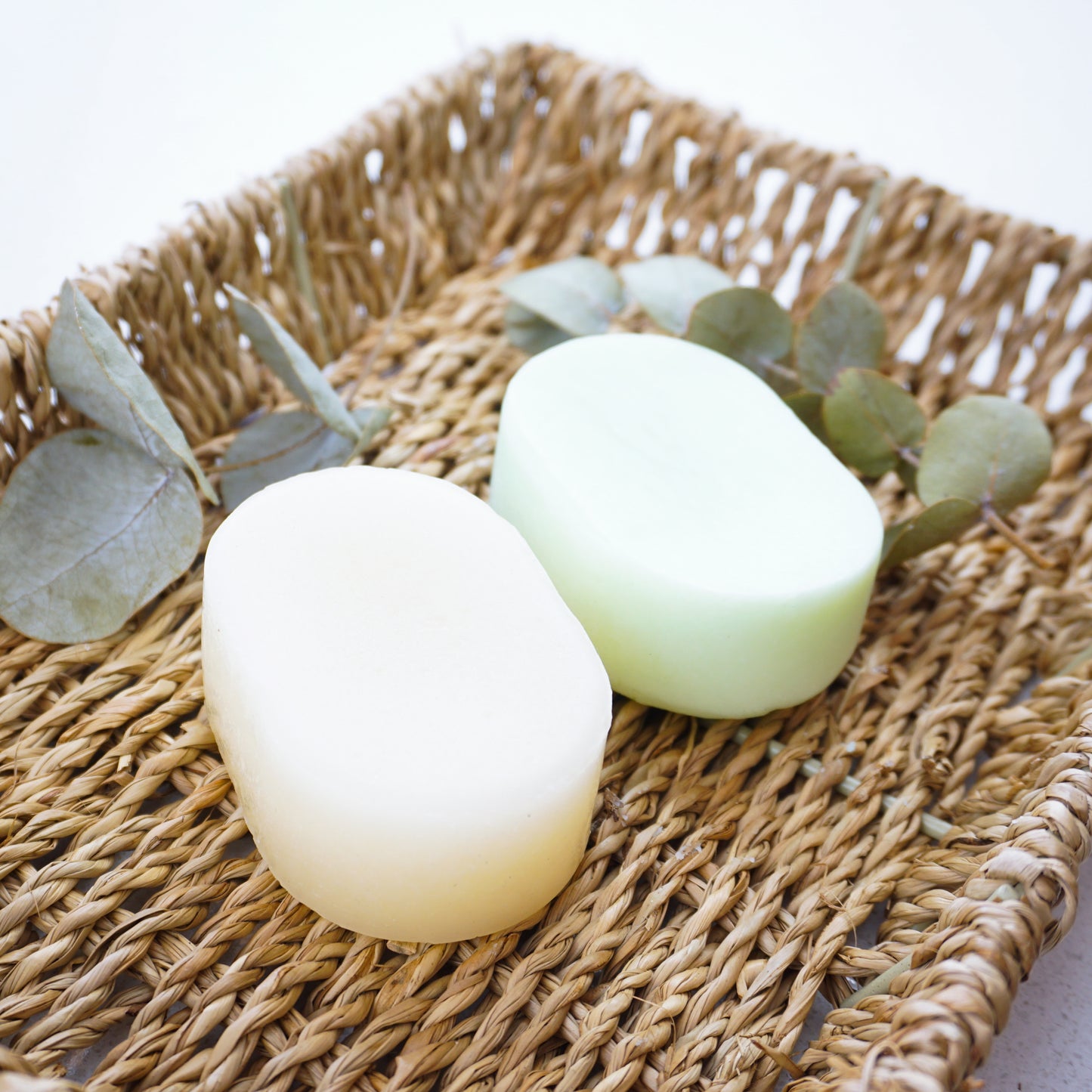 eucalyptus shampoo and conditioner bars on hamper basket surrounded by eucalyptus plants