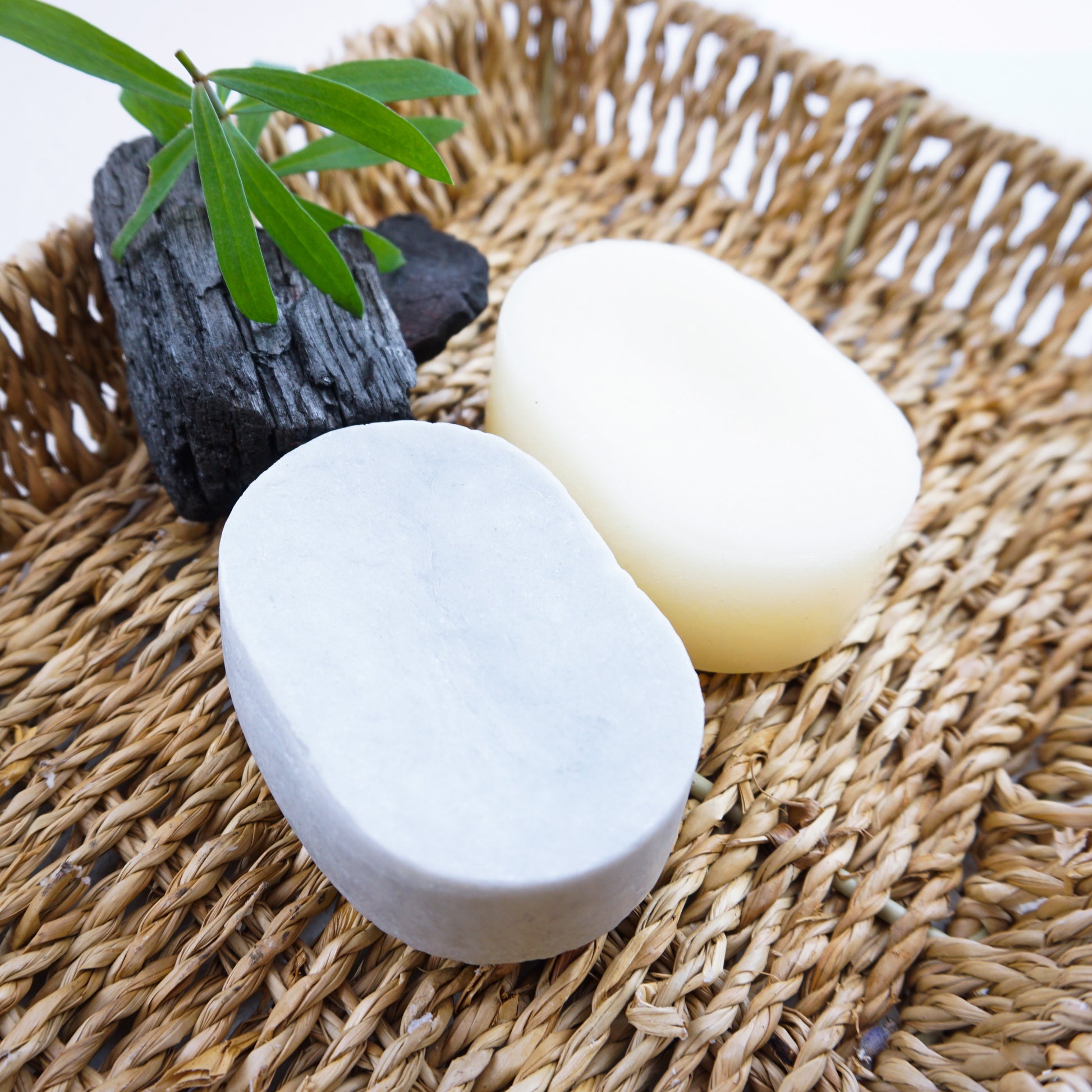 charcoal and tea tree shampoo and conditioner bars sitting on hamper basket